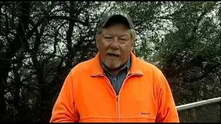 Quail Posts - Sounds A Quail Makes - Texas Wildlife Association