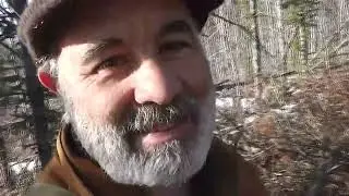 Spring deer scouting