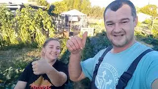 Getting Asparagus Ready for winter |Spanish homestead