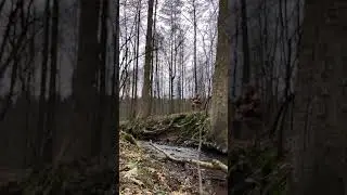 Uwielbienie nad wodą #30 / Konstelacja