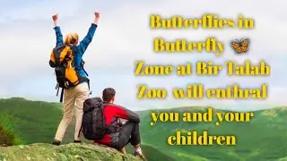 Butterflies in Butterfly 🦋Zone at Bir Talab Zoo  will enthral you and your children