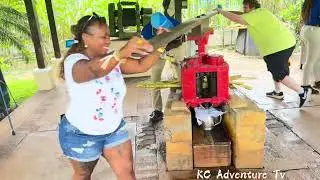 Exploring Appleton Estate Rum Tour | St. Elizabeth, Jamaica 🇯🇲🥃| Taste of Jamaica 🇯🇲