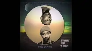 Distruction Boyz, Benny Maverick, Dladla Mshunqisi - Omunye (Tribe Of Afro Remix)