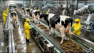 Inside The Biggest Modern Cow Dung Power Plant & Electricity Production Full Tour