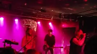 Live Clip of Die Sektor @ 3 Kings Tavern Denver, CO 5/11/2019