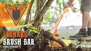 Leonard Brush Bar