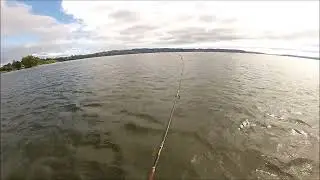 NEW ZEALAND TROUT FISHING WIND CHANGE