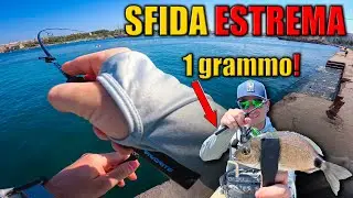 EXTREME ULTRALIGHT FISHING - 1 GRAM ROD and NO HANDLE! ft. Favorite Blue Bird Nano Travel