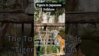 Head of a Tiger Body of a Man Tiger Tales: Unraveling Surprising Tiger Trivia! From @shortfactwizard
