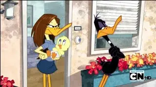 The Looney Tunes Show Season 1 Episode 16 Cold Opening clip 