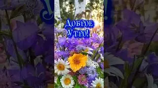 Доброе утро!
