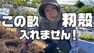 籾殻を入れない土作りと次男初めてのこまめ【ホンダF220】