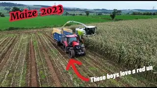 MAIZE 2023 IS KICKING OFF @ GIBSONS - Penrith, Cumbria