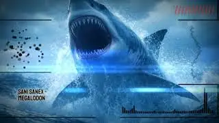 Sani Sanex - Megalodon