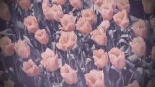 Alexander Rybak- [Extended] Fairytale but you're listening to it live in the rain