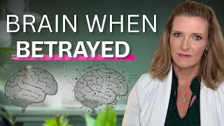 What Betrayal Does to Your Brain &mdash; and How to Map the Damage- Dr. Trish Leigh