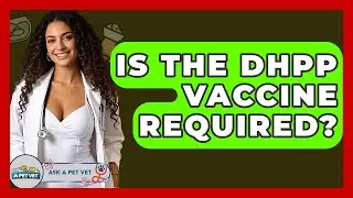 Is The DHPP Vaccine Required? - Ask A Pet Vet