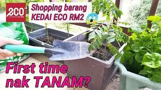 [Vlog] Shopping barang Kedai ECO RM2 untuk TANAM. Info Penyediaan Tanah & Tips Pindah Pokok