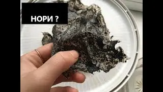 Искуственные листы норм из ГРИБОВ! Эксидия железистая  (Exidia glandulosa)