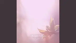 Awakening