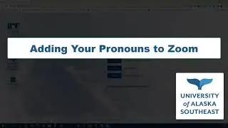 Adding Pronouns To Zoom