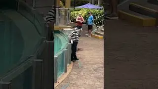 Check this moment 😂💪 Tom mime Seaworld antics #seaworldmime #tomthemime