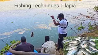 Big Fish | Fishing Videos | Big Tilapia Fish Video | Ahtesham khan Fishing | Fish Video