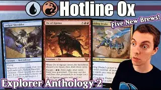 (Explorer) - Five New Brews! - 🔵🔴 - Hotline Ox 🐮