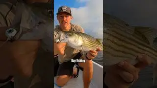 How I Catch ROCKFISH!