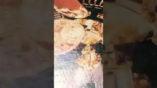 Casablanca book of fans