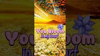 Share the video with your loved ones 🙏😇❤️ #b7relaxing #b7music #love #relax #travel #relaxingmusic