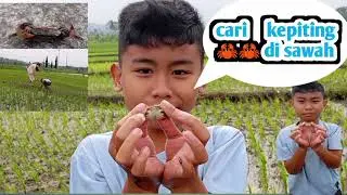 Serunya cari kepiting, tapi takut nangkapnya😃😃😃