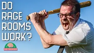 Are Rage Rooms a healthy way to release anger?
