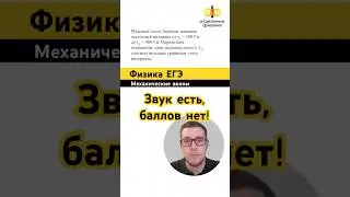 Звук есть, баллов нет! #механическиеволны #отделениефизики #физикаегэ