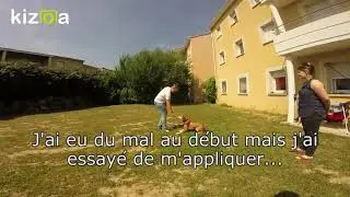 Education de Muffin, crois&eacute; beagle de 6 mois