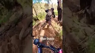 Man Down Orange MTB Trails #mtb #mountainbike #crash