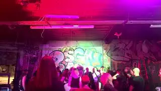 Porcupine - June 15, 2024 - DSGN(CLLCTV)