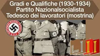 Gradi e Qualifiche Partito Nazionalsocialista Tedesco dei lavoratori (1930-1934) - Mostrina