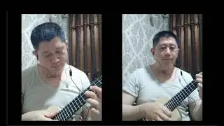 Sera Was Never (Raney Shockne) | Ukulele Cover
