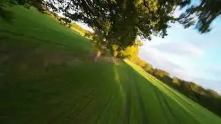 juicy flow freestyle - Golden Autumn - Two one packs