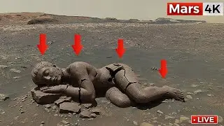 NASA Mars Rover Captured Most Breathtaking 360&deg; Footage of Mars In 4K | Perseverance Rover SOL 1549