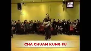 Montreal Kung fu - Tai chi