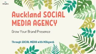 Social Media Agency Auckland   Social Media !amazing!