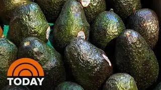 Avocado Ban Lifted, Heading Off Fears Of Shortage