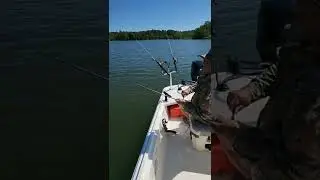 Walleye fishing with the #riverlegend at Busch Mountain Fishing Guide Service in #eurekasprings