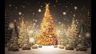 🎄ВАРФЕЙС🎄ПРОХОДИМ ПВЕ С ПОДПИСЧИКАМИ🎄С НОВЫМ ГОДОМ ВСЕХ!