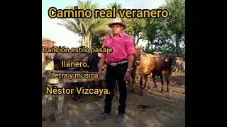 Camino real veranero LyM Néstor Vizcaya 