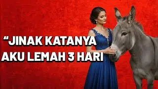 Tetangga Bilang Keledainya Jinak, Tapi Kok Aku Gemetaran?