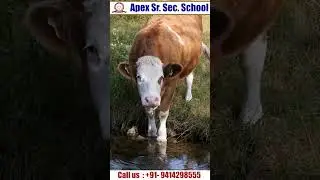 International Animal Rights  Day || Importance of International Animal Rights  Day || apexclasses