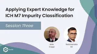 Applying Expert Knowledge for ICH M7 Impurity Classification - Session 3